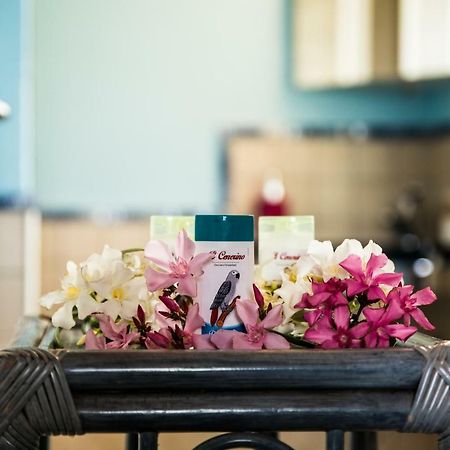 B&B Il Cenerino Сант-Антиоко Экстерьер фото